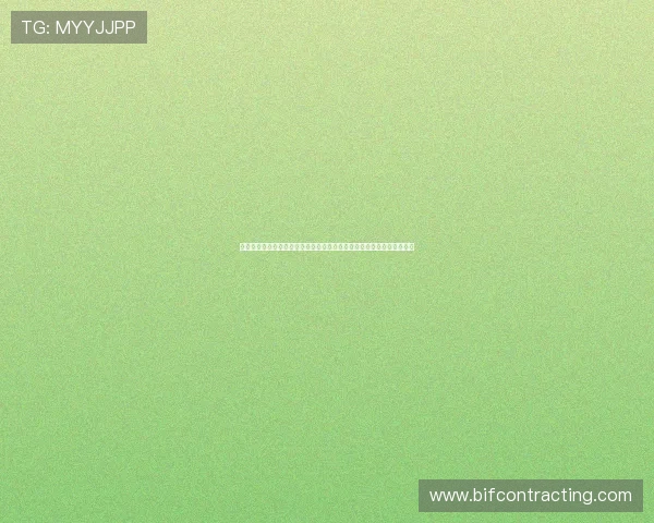 详细解析新西兰与埃及世界杯比赛现场交通出行方案，确保顺利到达赛场